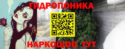 мдма Новозыбков