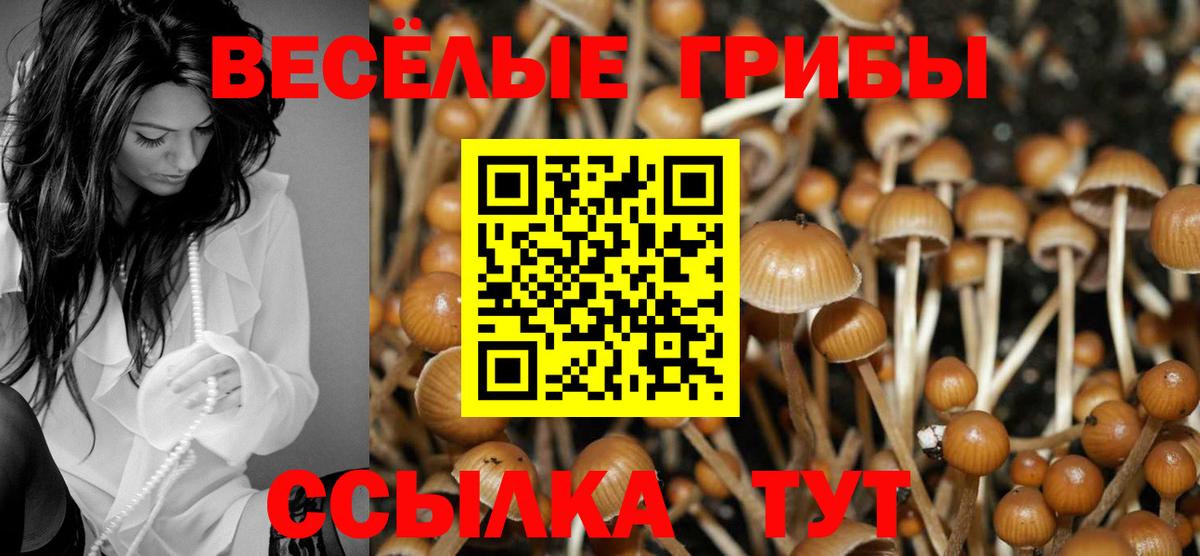 Галлюциногенные грибы Cubensis Тамбов